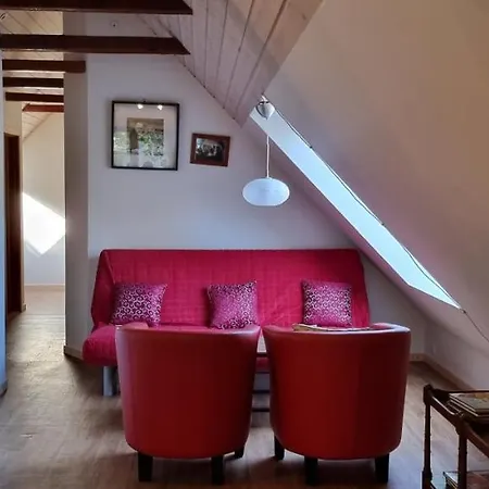 The Parrot Hotel, Live In A Rescue Animal Park *