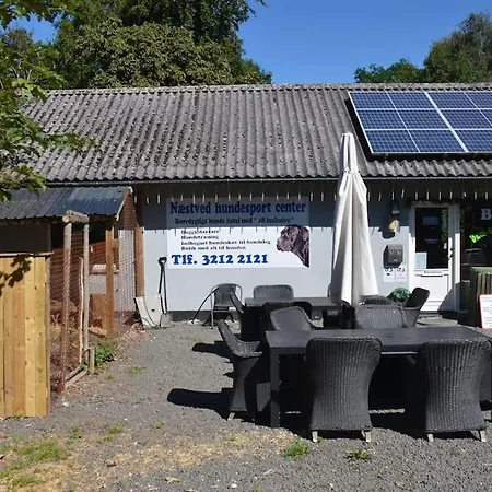 The Parrot Hotel, Live In A Rescue Animal Park