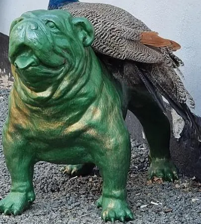 The Parrot Hotel, Live In A Rescue Animal Park * Naestved