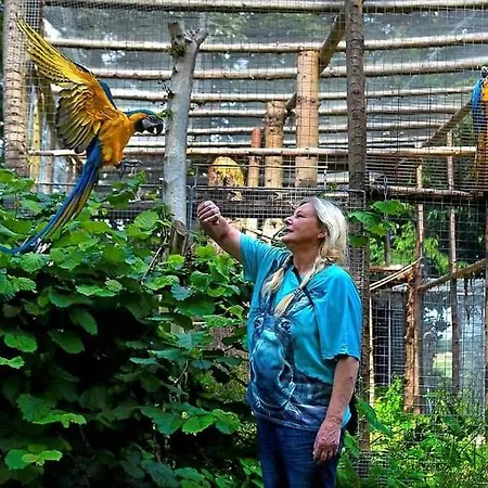 Lejlighed The Parrot Hotel, Live In A Rescue Animal Park Næstved