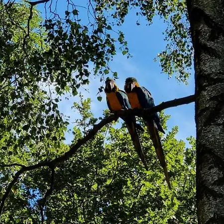 Apartment The Parrot Hotel, Live In A Rescue Animal Park Naestved