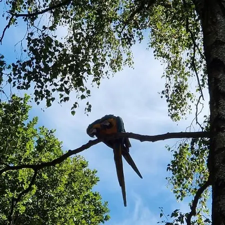 The Parrot Hotel, Live In A Rescue Animal Park Apartment