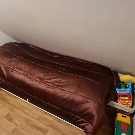 The Parrot Hotel, Live In A Rescue Animal Park *