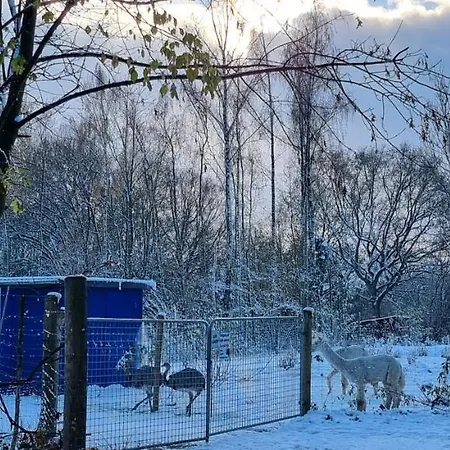 Lejlighed The Parrot Hotel, Live In A Rescue Animal Park