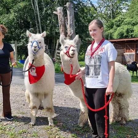 The Parrot Hotel, Live In A Rescue Animal Park * Naestved
