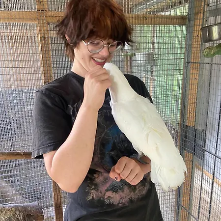Lejlighed The Parrot Hotel, Live In A Rescue Animal Park