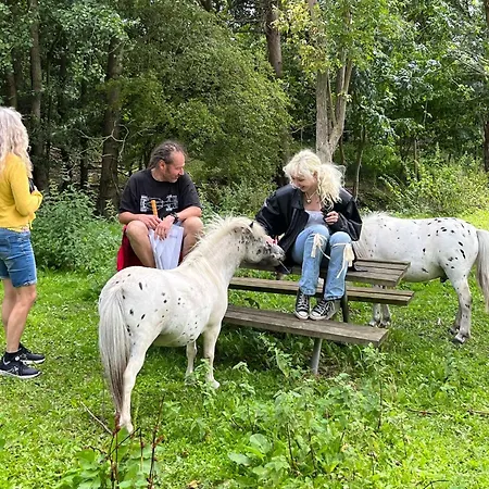 The Parrot Hotel, Live In A Rescue Animal Park Næstved