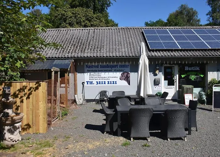 The Parrot Hotel, Live In A Rescue Animal Park
