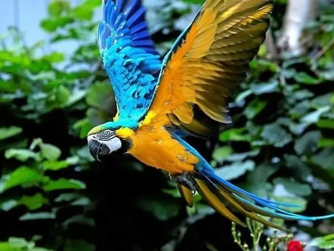 The Parrot Hotel, Live In A Rescue Animal Park アパート Næstved