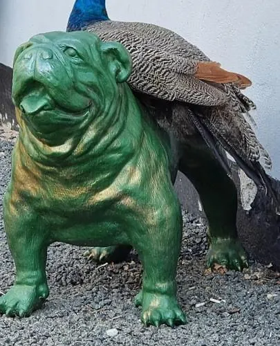 The Parrot Hotel, Live In A Rescue Animal Park * Næstved
