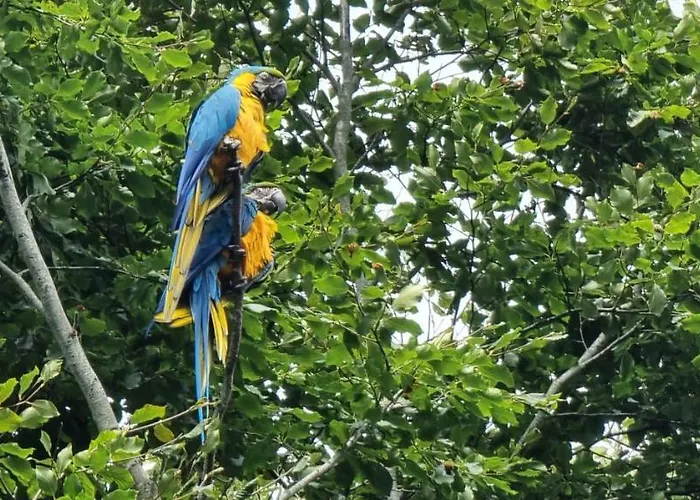 The Parrot Hotel, Live In A Rescue Animal Park アパート