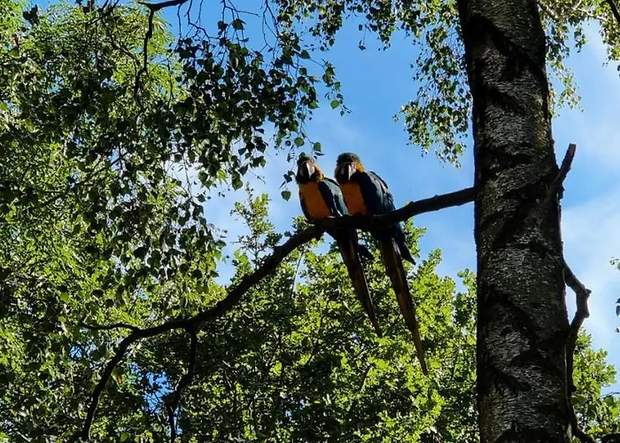 شقة The Parrot Hotel, Live In A Rescue Animal Park Næstved