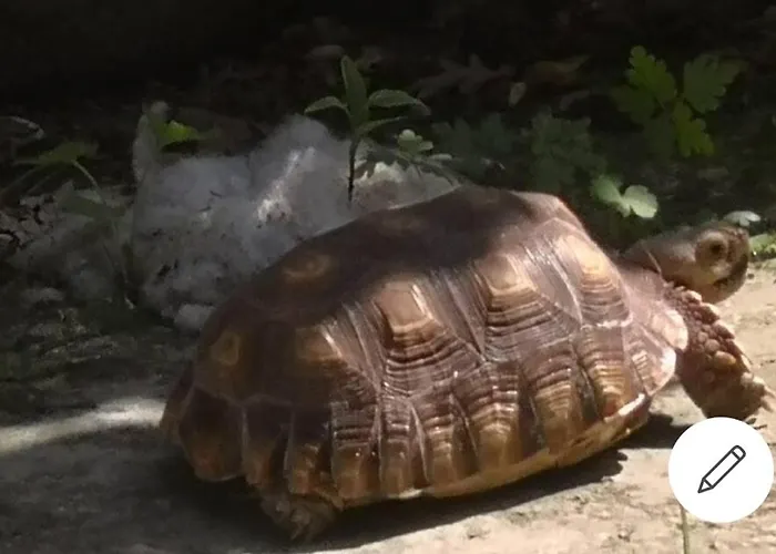 The Parrot Hotel, Live In A Rescue Animal Park شقة