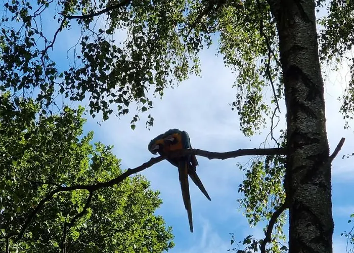 The Parrot Hotel, Live In A Rescue Animal Park شقة