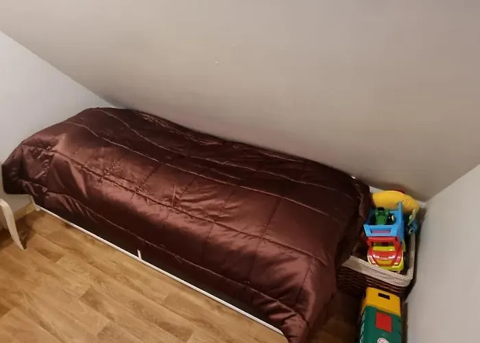 The Parrot Hotel, Live In A Rescue Animal Park *