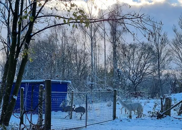 شقة The Parrot Hotel, Live In A Rescue Animal Park