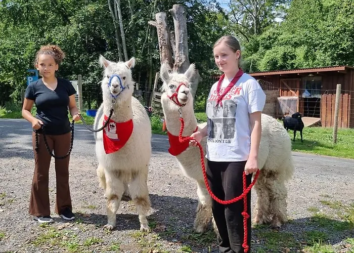 The Parrot Hotel, Live In A Rescue Animal Park * Næstved