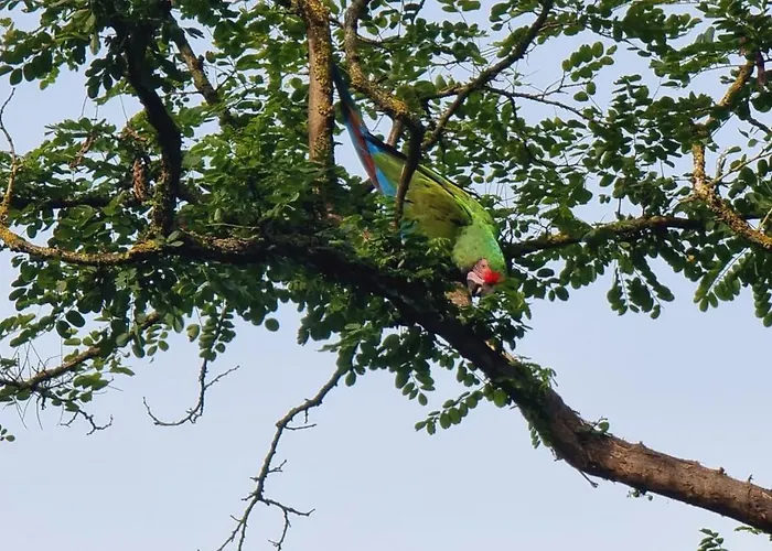 The Parrot Hotel, Live In A Rescue Animal Park شقة