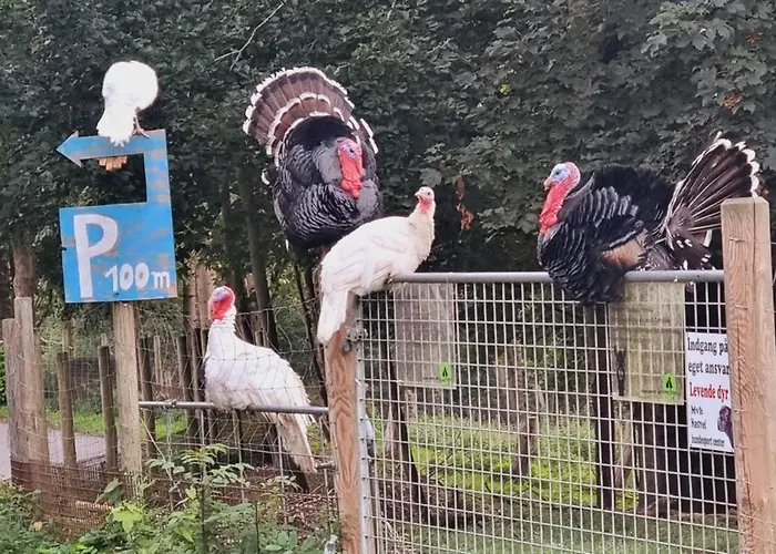 The Parrot Hotel, Live In A Rescue Animal Park شقة *