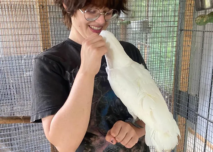 شقة The Parrot Hotel, Live In A Rescue Animal Park