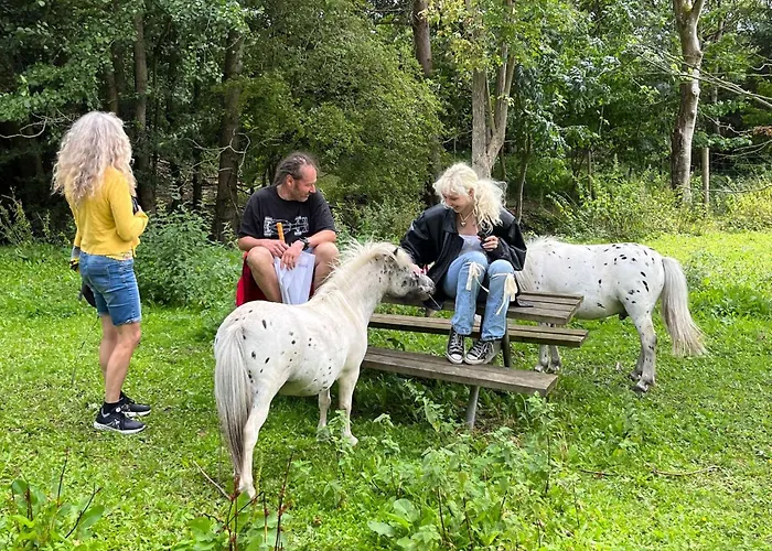 The Parrot Hotel, Live In A Rescue Animal Park Næstved