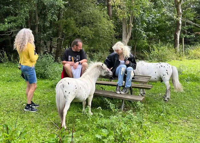 The Parrot Hotel, Live In A Rescue Animal Park * Næstved