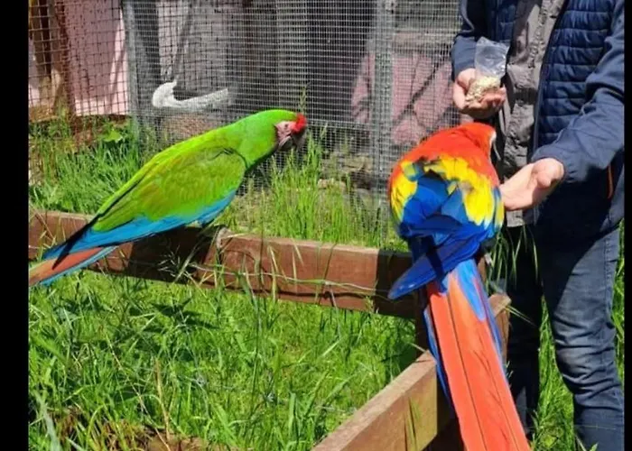The Parrot Hotel, Live In A Rescue Animal Park * Næstved